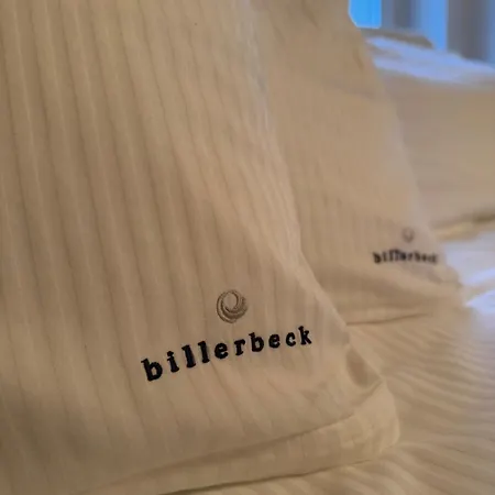 Elysium Estate Villa *