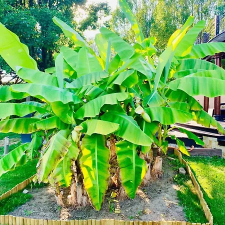 Villa Elysium Estate Szekszárd