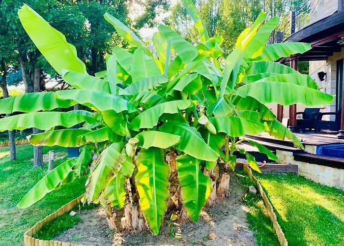 Villa Elysium Estate Szekszárd